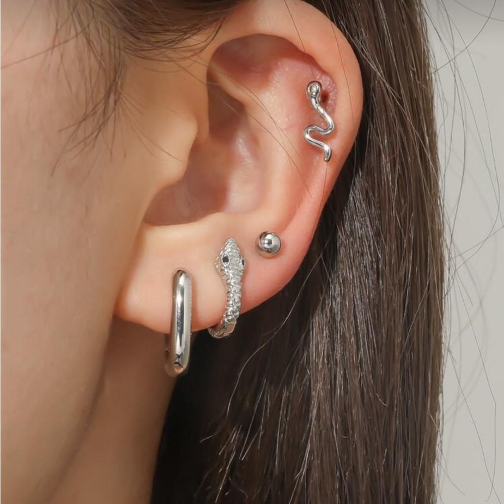 Snake Earrings #2136
